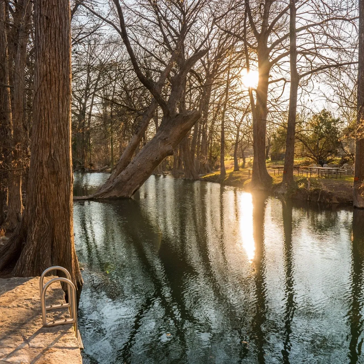 The clear blue water of Blue Hole Regional Park in Wimberley, Texas