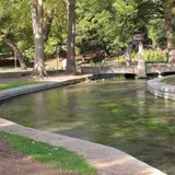 The clear, spring-fed Comal River flowing through Landa Park in New Braunfels, Texas