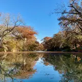 The Guadalupe River in the Texas autumn.