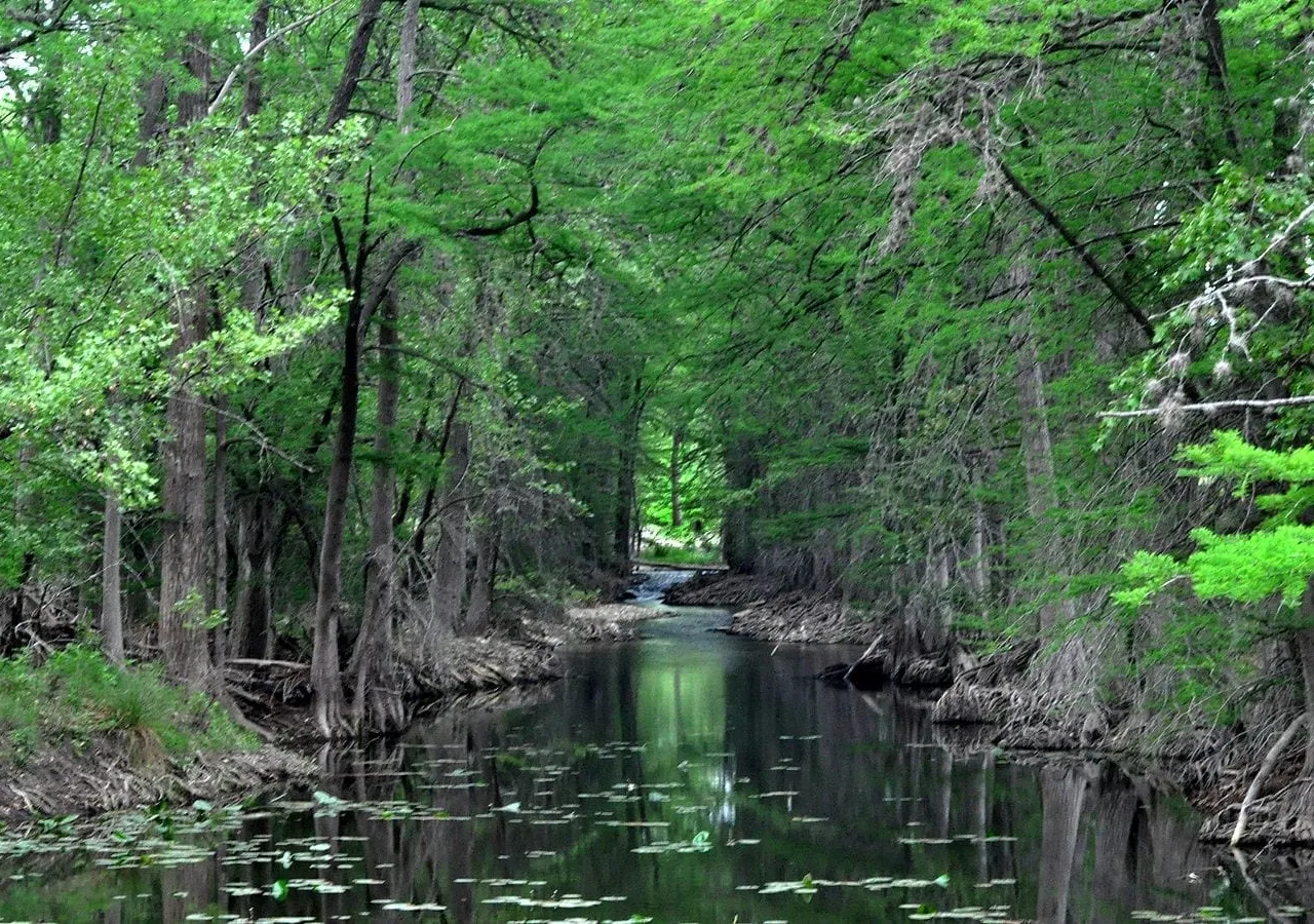 The Guadalupe River flowing through Kerrville, Texas