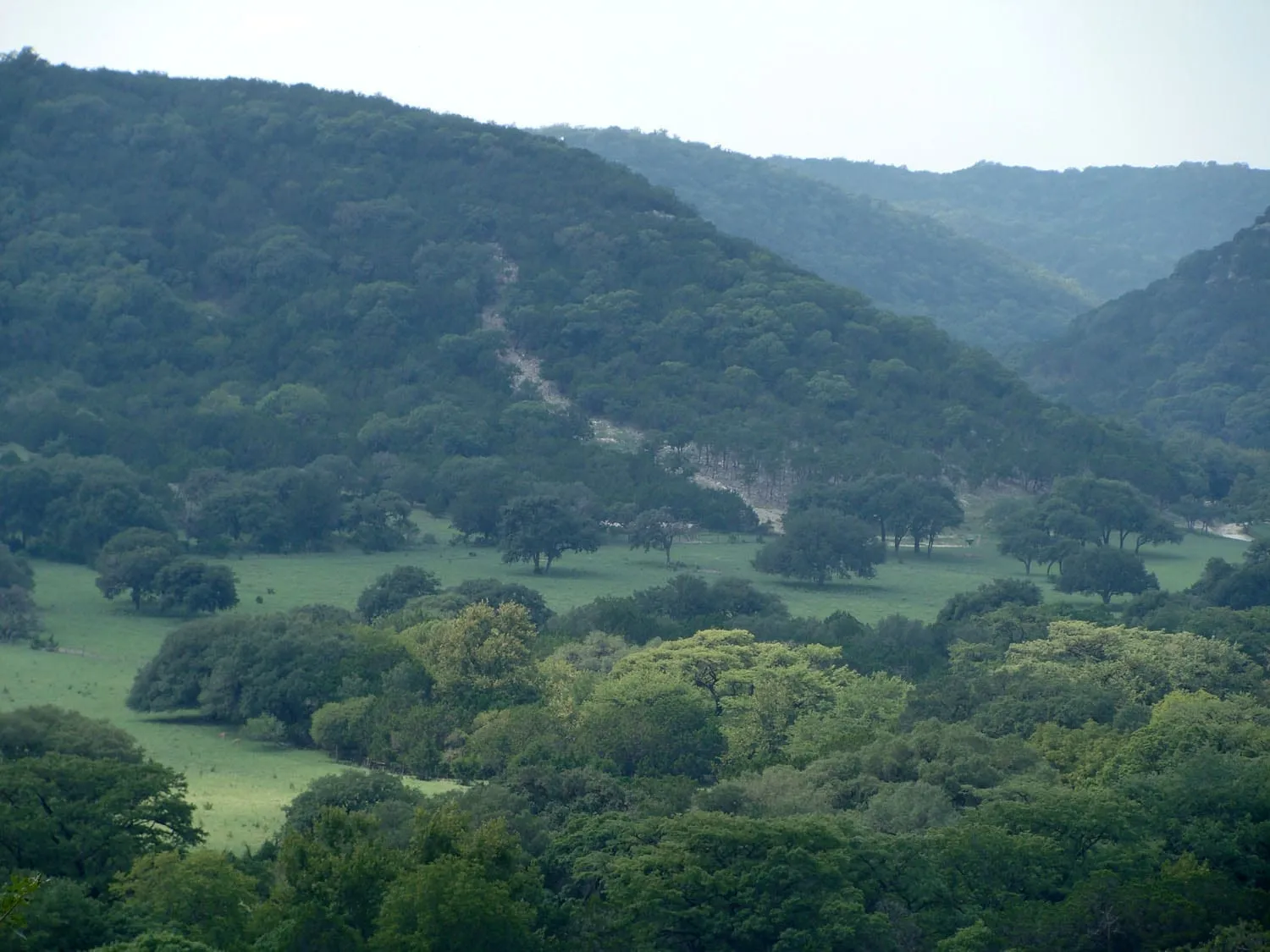 Best Easy Hikes in the Texas Hill Country
