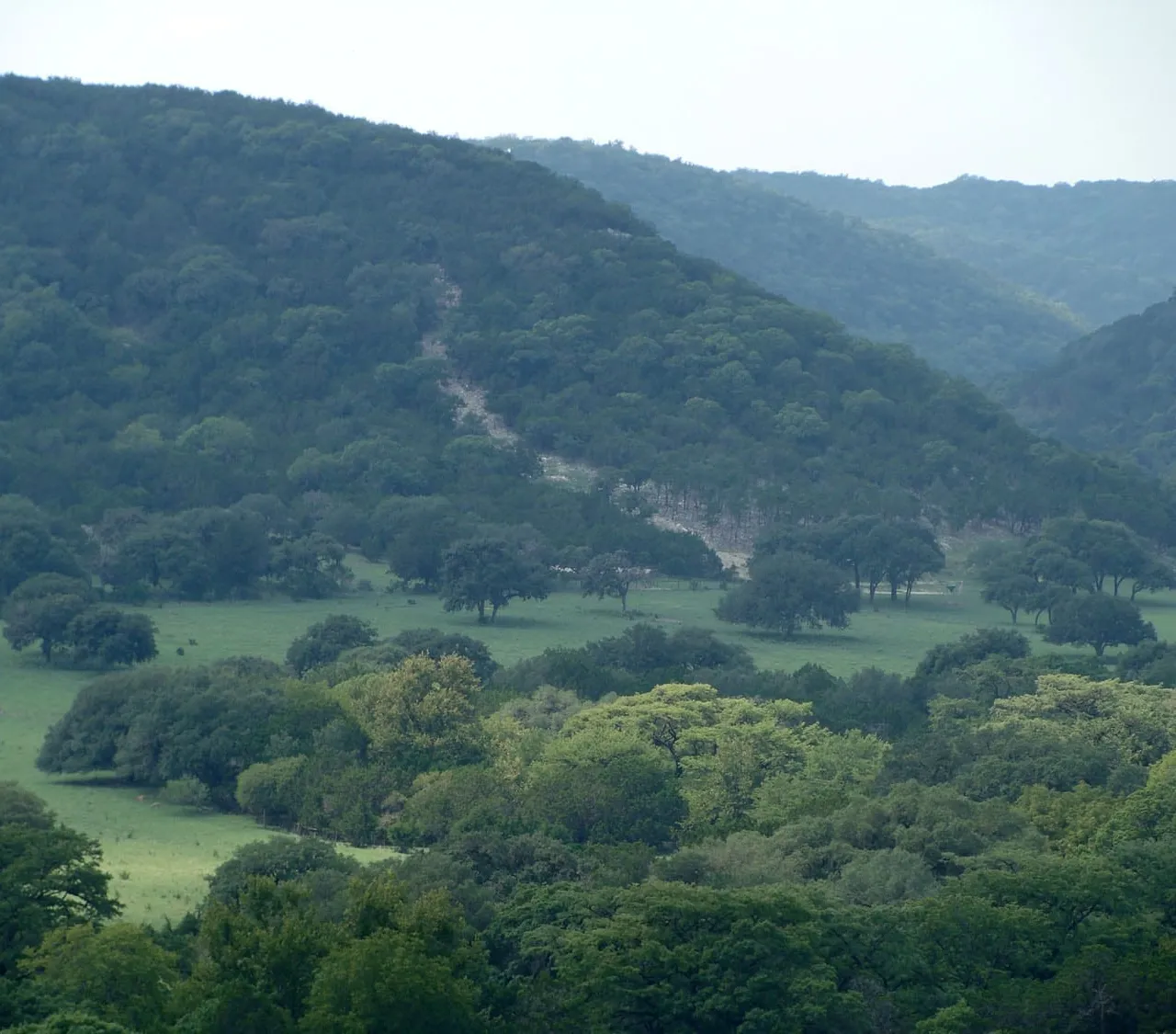 Scenic Texas Hill Country vista with rolling green hills and open sky