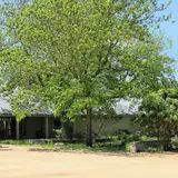 Riverside Nature Center along the Guadalupe River in Kerrville, Texas