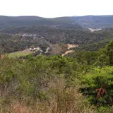 Panoramic view from the East Trail scenic overlook at Lost Maples State Natural Area