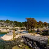 Cypress trees beginning to show fall color along the Pedernales River
