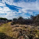 A shaded hiking trail at Pedernales Falls State Park