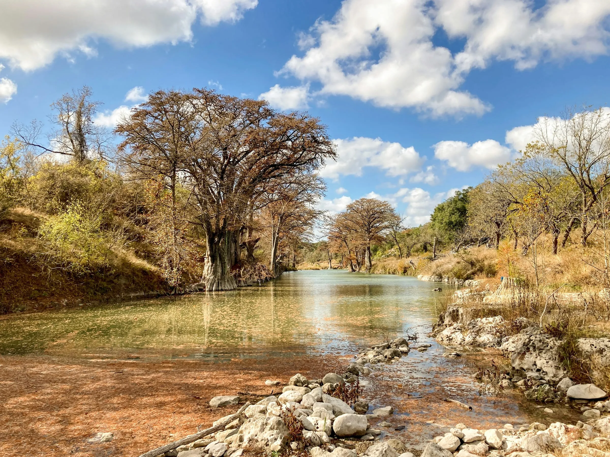 Guadalupe River State Park Guide: Trails, Camping, and a Calmer Side of the River