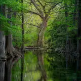 Wimberley, Texas During the Spring