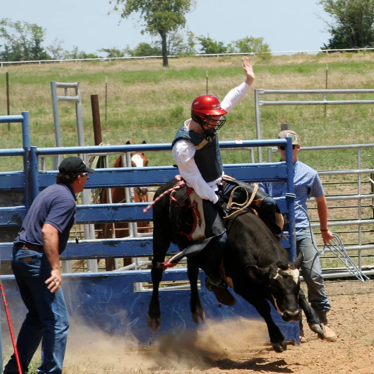 A cowboy riding a bull at a rodeo, a staple of Hill Country culture