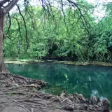 The San Marcos River at Rio Vista Park, the most popular access point for tubing and swimming