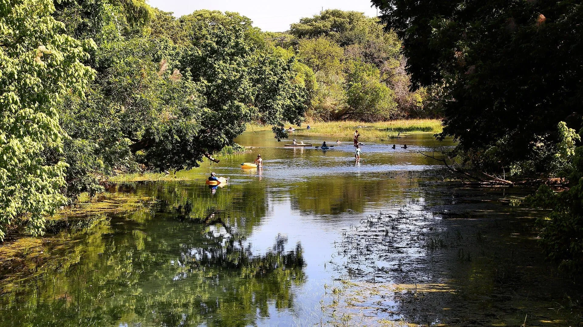San Marcos River Guide: Tubing, Swimming, and Choosing the Right Access Point